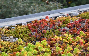 the cost of Kingsley Park green roof installation